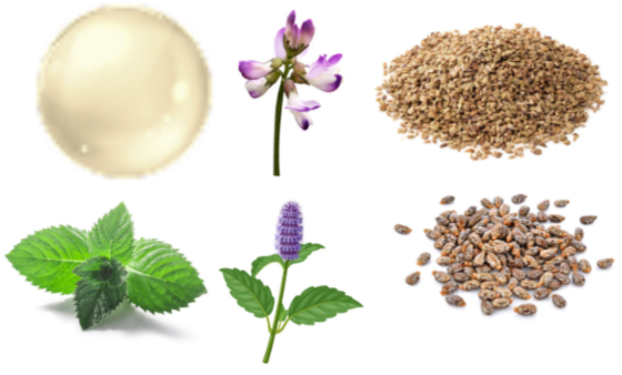 Fungexin Fungus Pen UK Ingredients