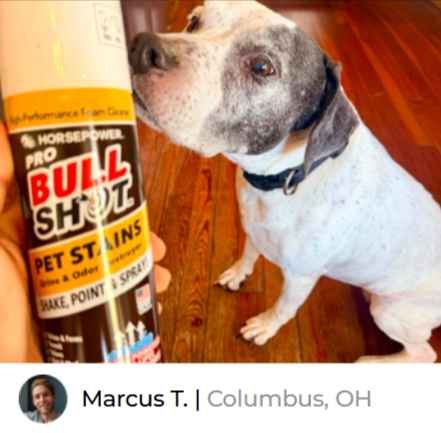 Bull Shot Pro Pet Stains Customer